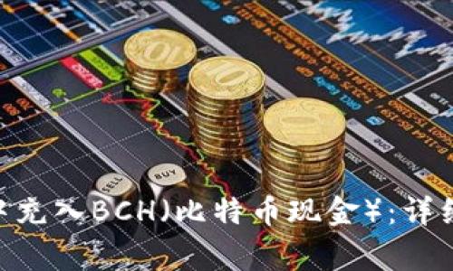 如何在imToken中充入BCH（比特币现金）：详细步骤与注意事项