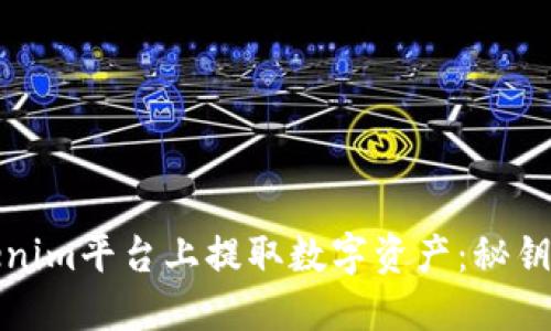 如何在Tokenim平台上提取数字资产：秘钥和流程详解