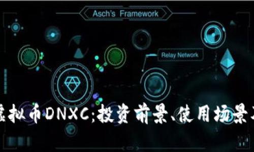 深入探索虚拟币DNXC：投资前景、使用场景及未来发展