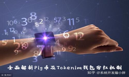 全面解析Pig币及Tokenim钱包分红机制