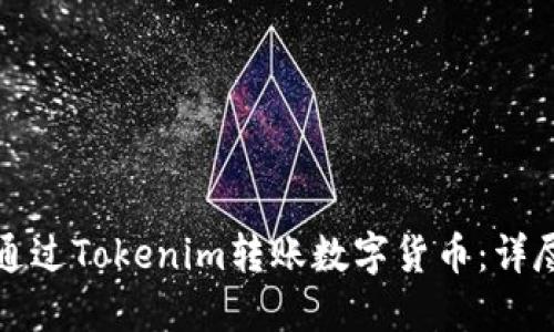 如何通过Tokenim转账数字货币：详尽指南