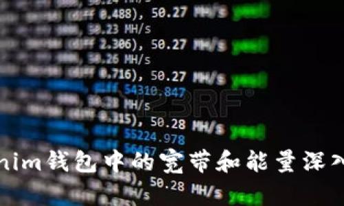 Tokenim钱包中的宽带和能量深入解析