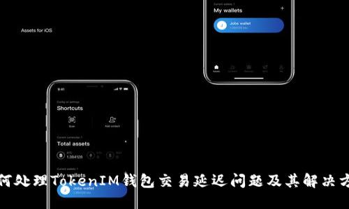 如何处理TokenIM钱包交易延迟问题及其解决方案