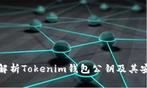 全面解析Tokenim钱包公钥及其安全性