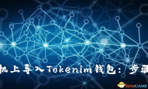 如何在新手机上导入Tokenim钱包: 步骤与注意事项