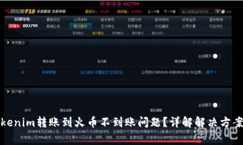 如何处理Tokenim转账到火币不到账问题？详解解决方案与注意事项