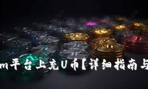 如何在Tokenim平台上充U币？详细指南与常见问题解答