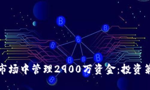 如何在虚拟币市场中管理2900万资金：投资策略与风险控制
