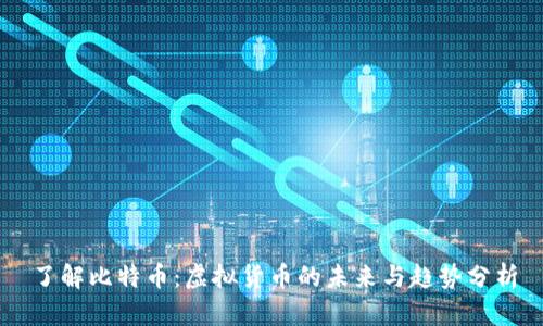 了解比特币：虚拟货币的未来与趋势分析