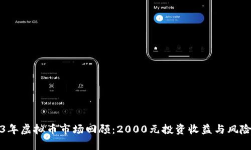 2023年虚拟币市场回顾：2000元投资收益与风险分析